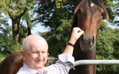 Reynolds New Chair at Horse Sport Ireland