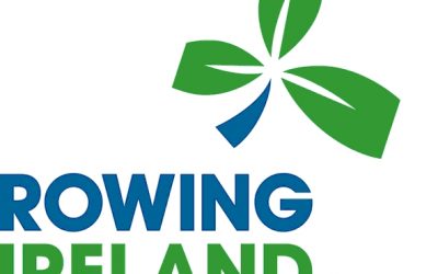Rowing Ireland launches Greenblades