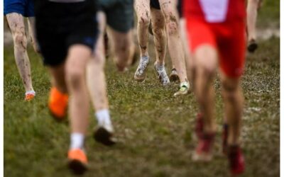 Balanced approach to sports funding can pay real dividends