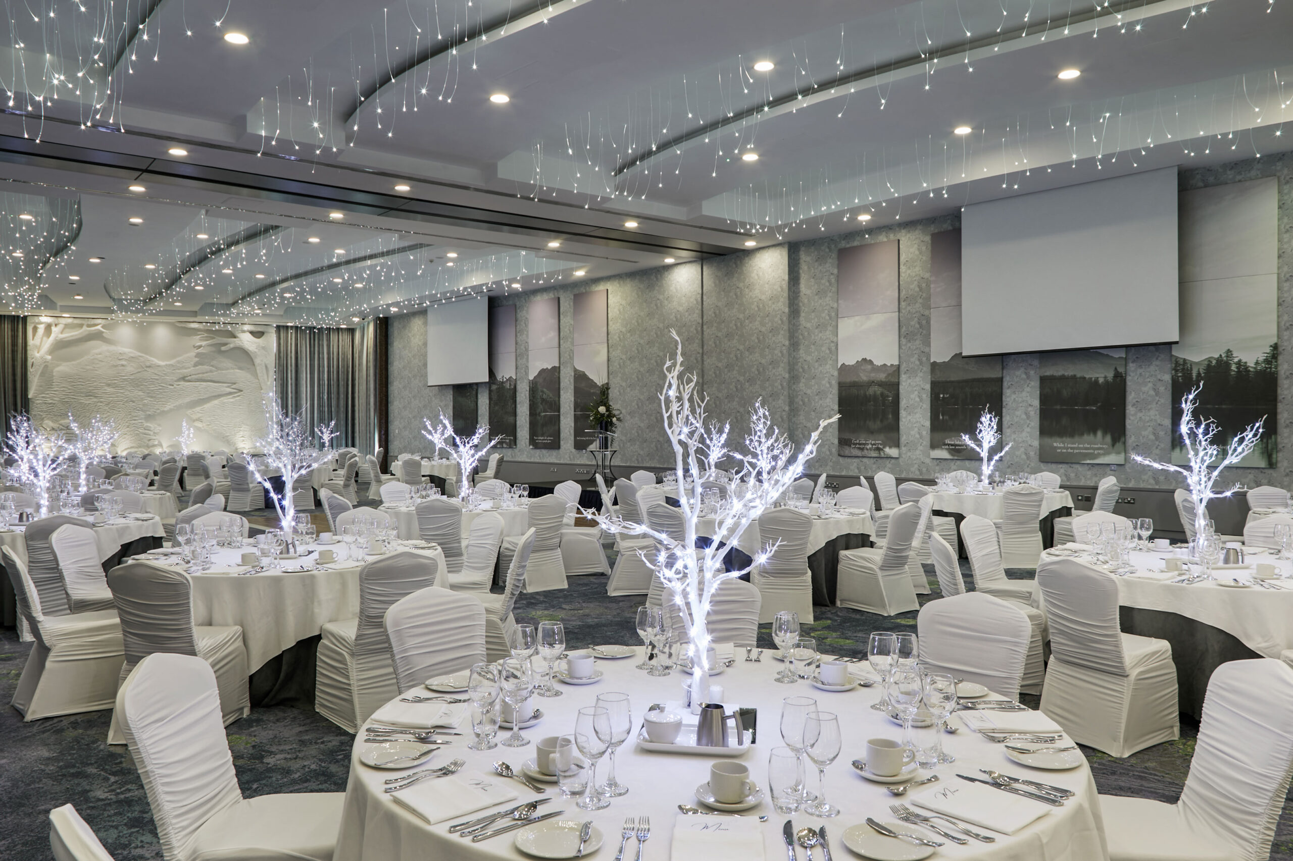 banquet hall crowne plaza hotel blanchardstown